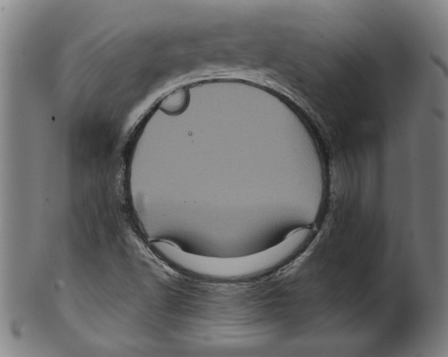 X0000099471502200806061207