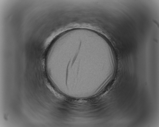 X0000099471503200806061207