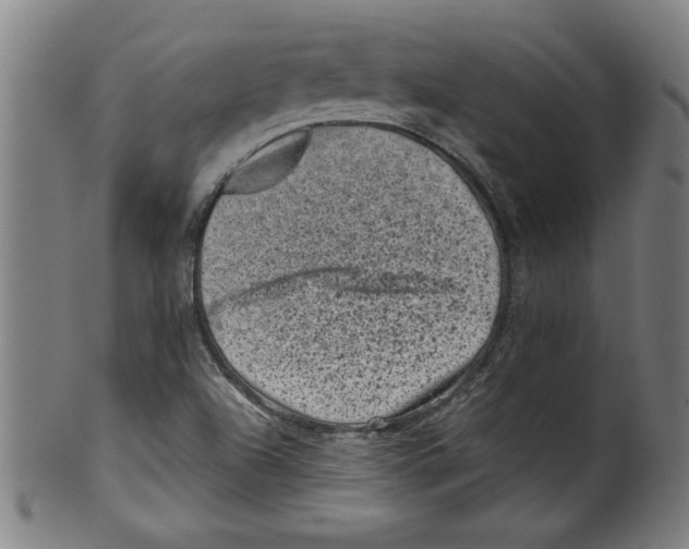 X0000099471504200806061207