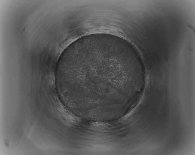 X0000099471505200806061207