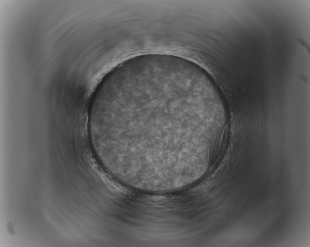 X0000099471507200806061207