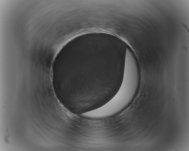 X0000099471508200806061207