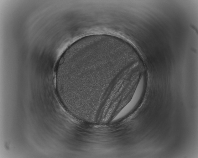 X0000099471509200806061207