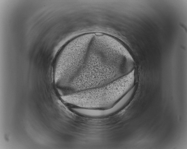 X0000099471510200806061207