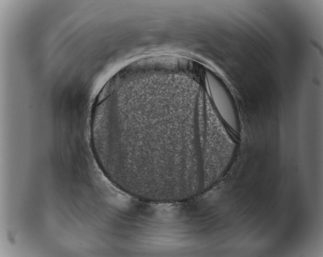 X0000099471512200806061207