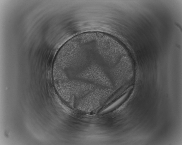 X0000099471513200806061207