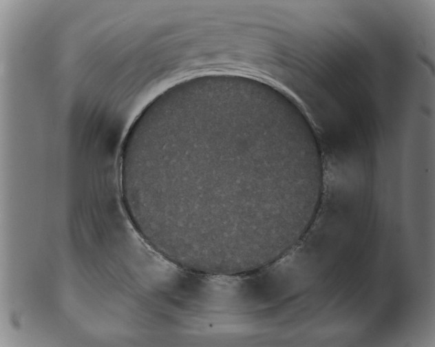 X0000099471514200806061207