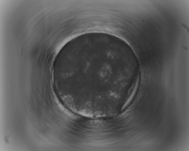 X0000099471515200806061207