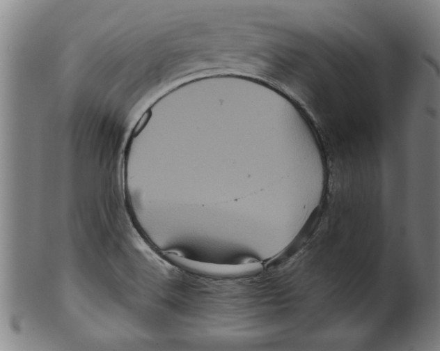 X0000099471516200806061207