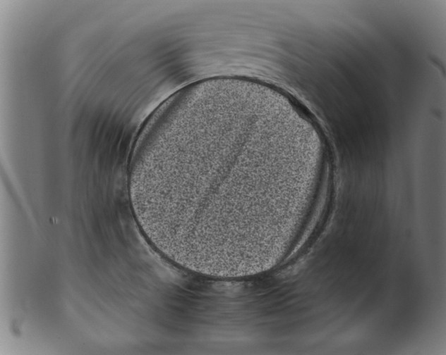 X0000099471521200806061207