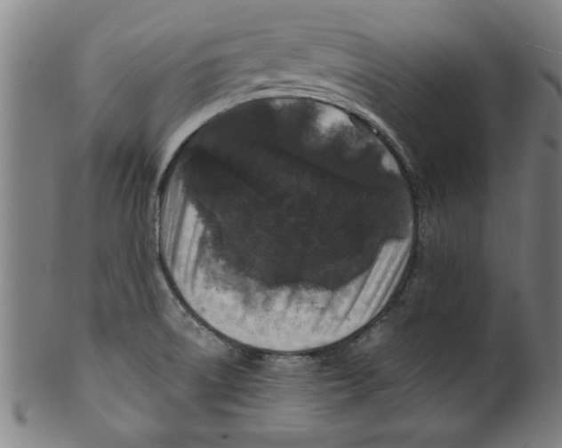 X0000099471522200806061207