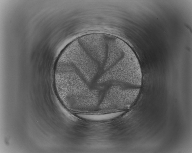 X0000099471523200806061207