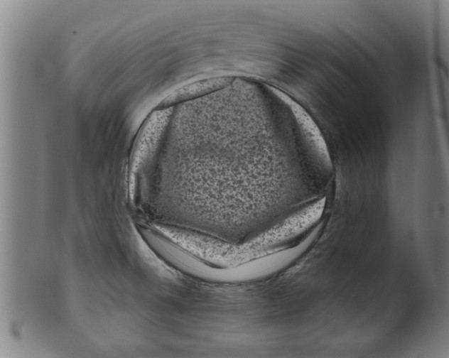 X0000099471524200806061207