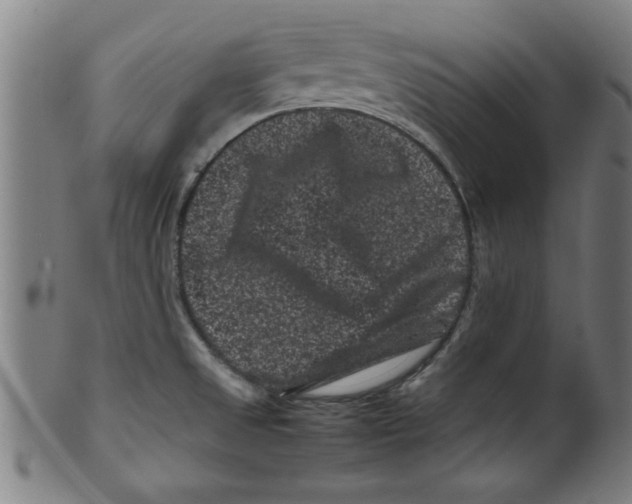 X0000099471525200806061207