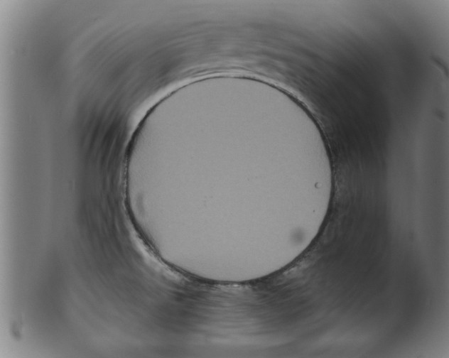 X0000099471526200806061207