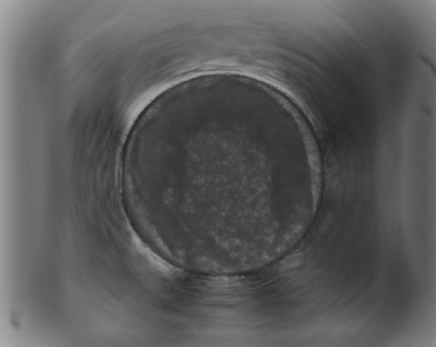 X0000099471527200806061207