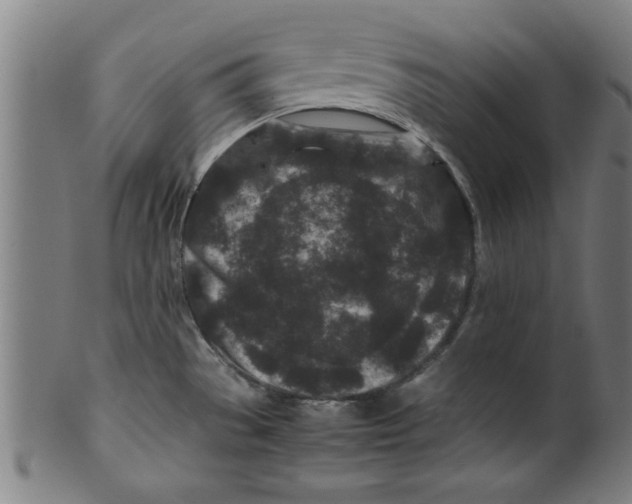 X0000099471529200806061208