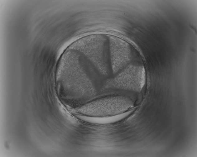 X0000099471530200806061208