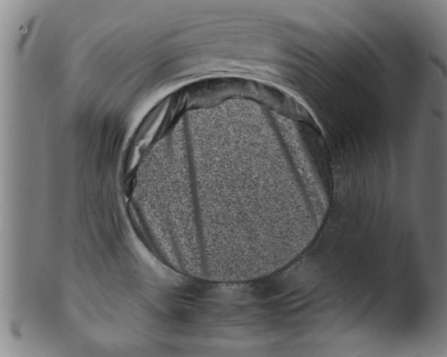 X0000099471531200806061208