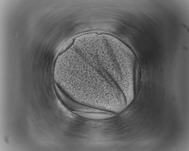 X0000099471532200806061208