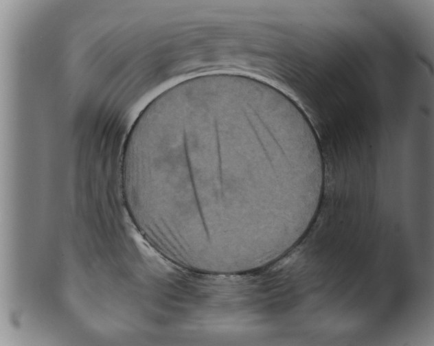 X0000099471534200806061208