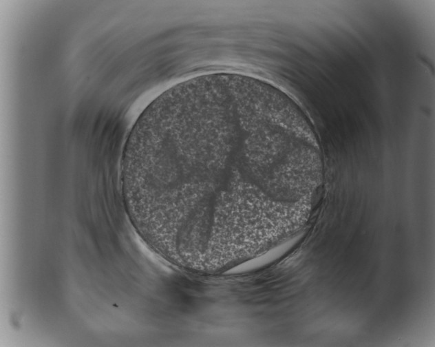 X0000099471535200806061208