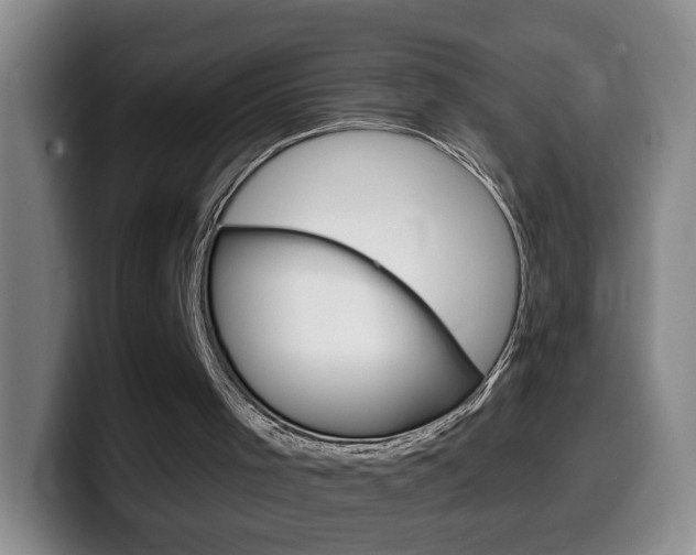 X0000099480001200805090842