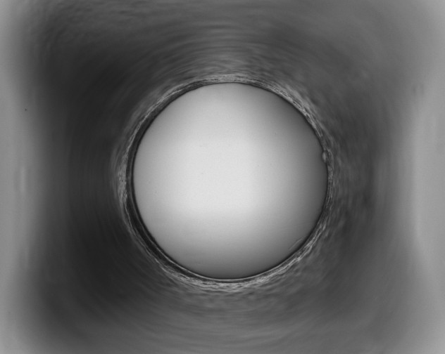 X0000099480002200805090842