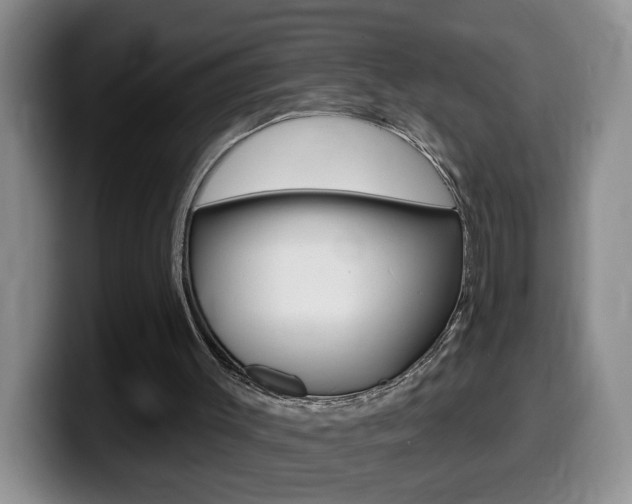 X0000099480003200805090842