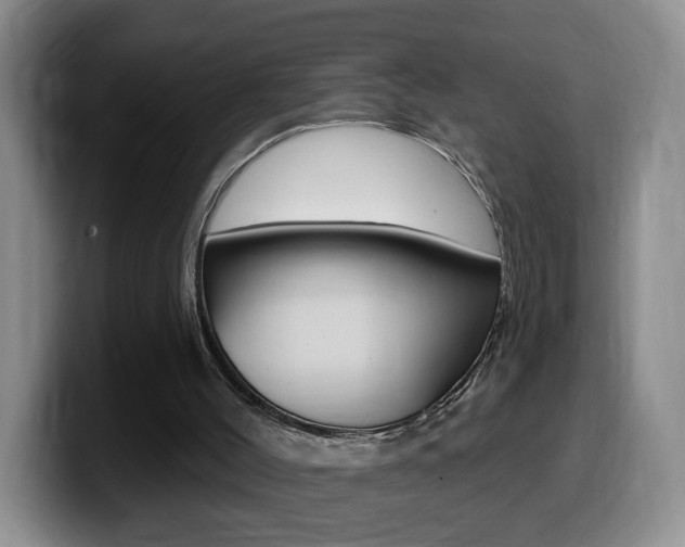 X0000099480004200805090842