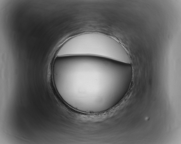 X0000099480005200805090842