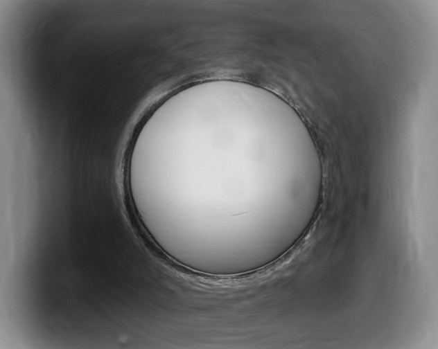 X0000099480006200805090842