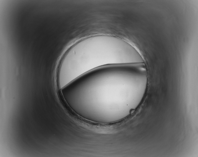 X0000099480008200805090842