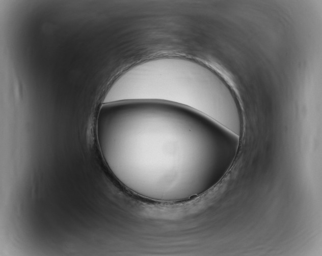 X0000099480009200805090842