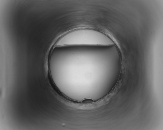 X0000099480011200805090842