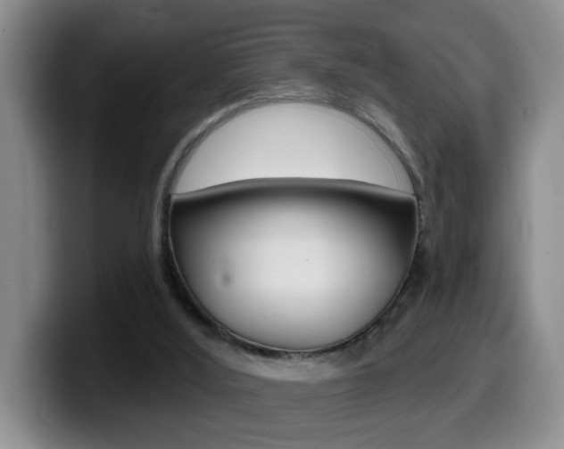 X0000099480012200805090842