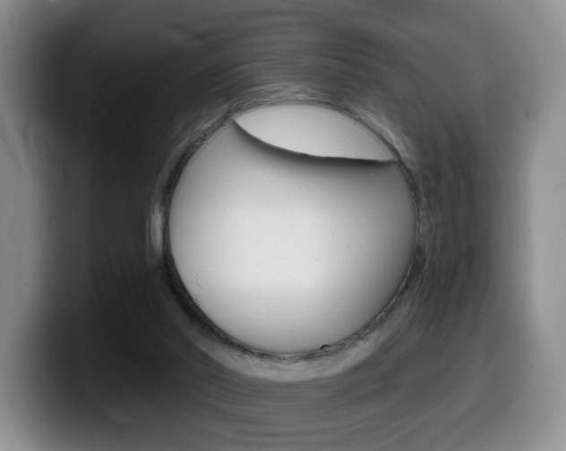 X0000099480014200805090842