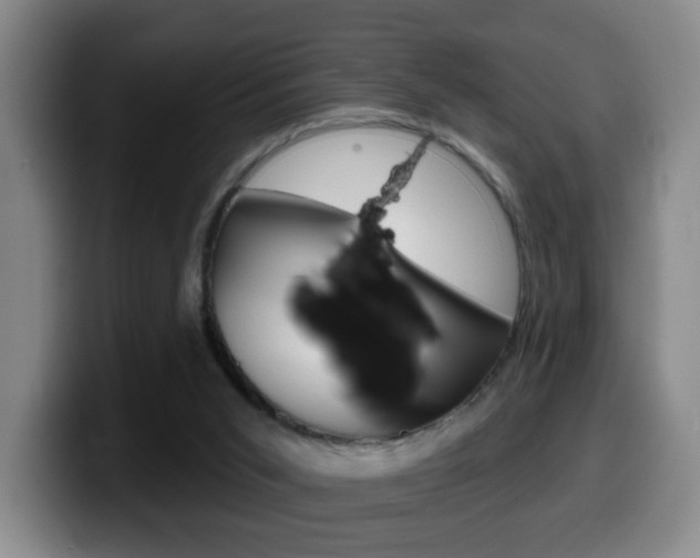 X0000099480015200805090842