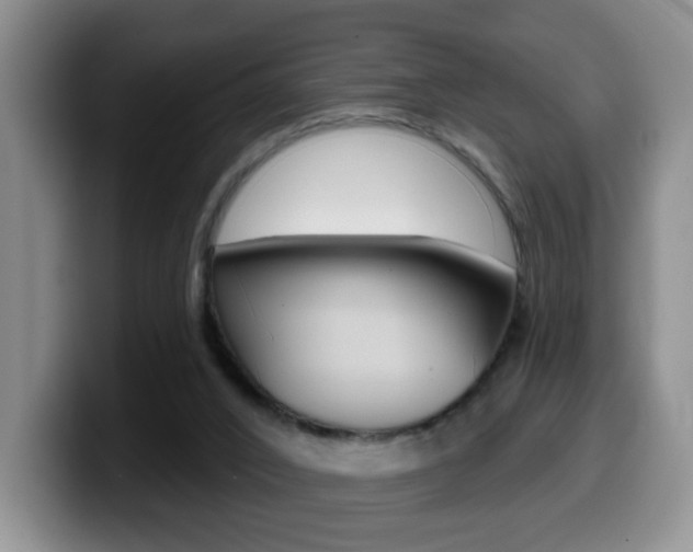 X0000099480016200805090842