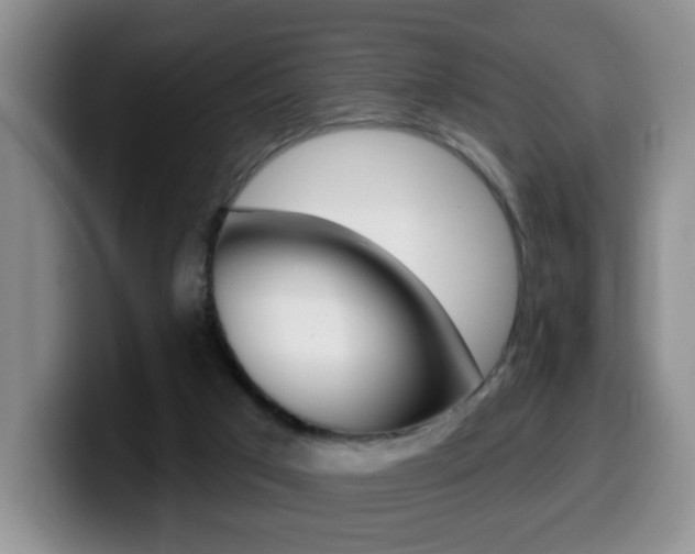 X0000099480017200805090842