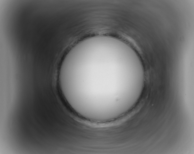 X0000099480018200805090842