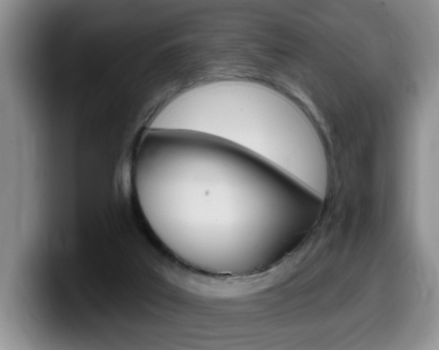 X0000099480019200805090842
