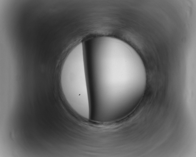 X0000099480020200805090842