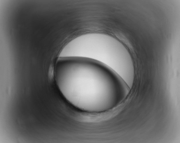 X0000099480021200805090842