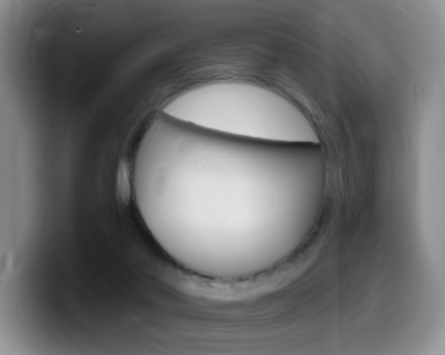 X0000099480022200805090842