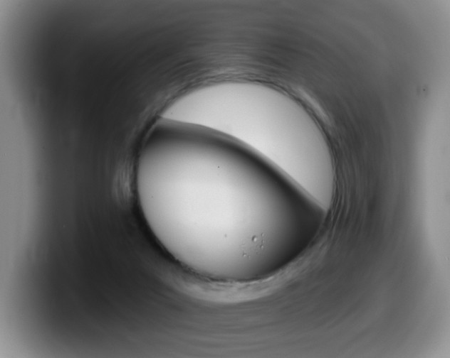 X0000099480023200805090842