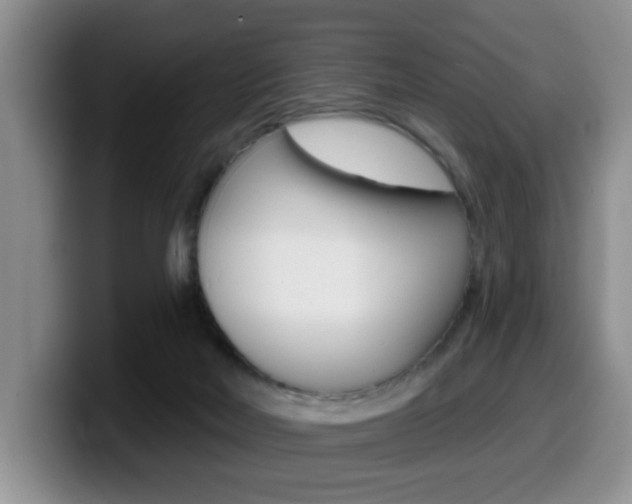 X0000099480026200805090842