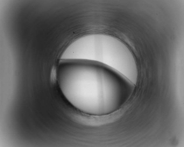 X0000099480027200805090842