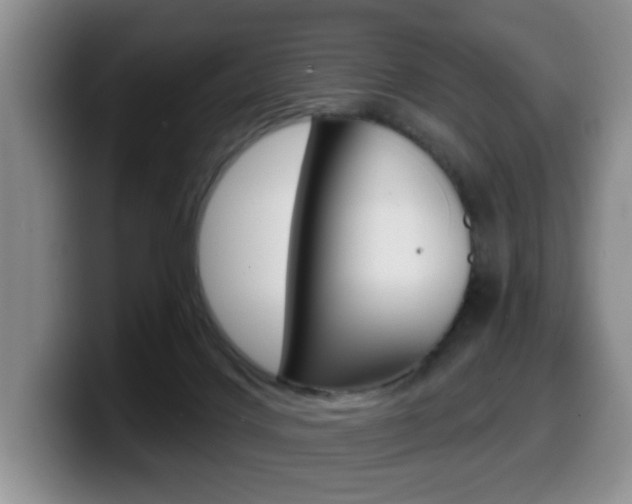 X0000099480028200805090842