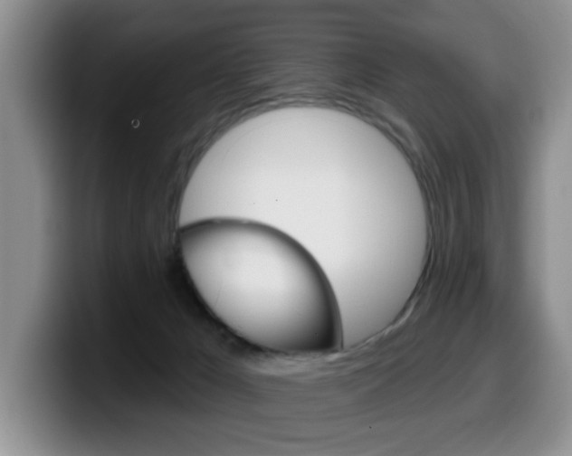 X0000099480029200805090842